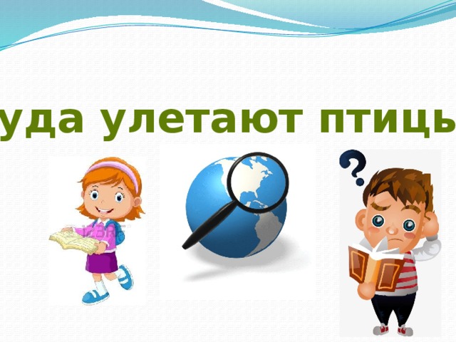 Куда улетают птицы? 