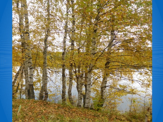 Река журавка  