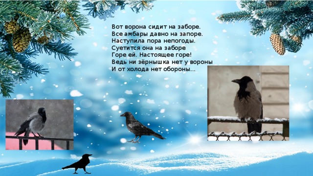 Вот ворона сидит на заборе. Все амбары давно на запоре. Наступила пора непогоды. Суетится она на заборе Горе ей. Настоящее горе! Ведь ни зёрнышка нет у вороны И от холода нет обороны... 