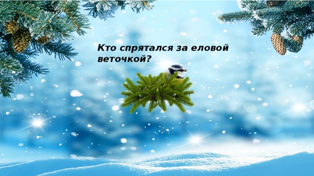Кто спрятался за еловой веточкой? 