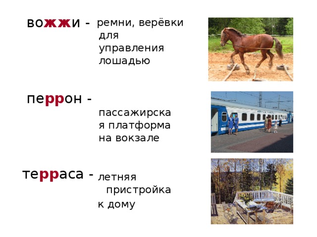 во жж и -  пе рр он - те рр аса -  ремни, верёвки для управления лошадью  пассажирская платформа на вокзале  летняя пристройка  к дому