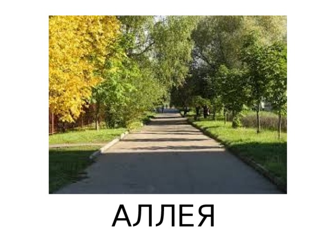АЛЛЕЯ