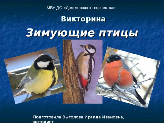 МБУ ДО «Дом детского творчества» Викторина Зимующие птицы Подготовила Выголова Ираида Ивановна, методист 