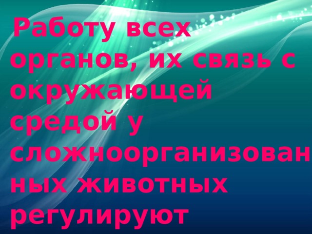  Работу всех органов, их связь с окружающей средой у сложноорганизованных животных регулируют нервная и эндокринная системы . 