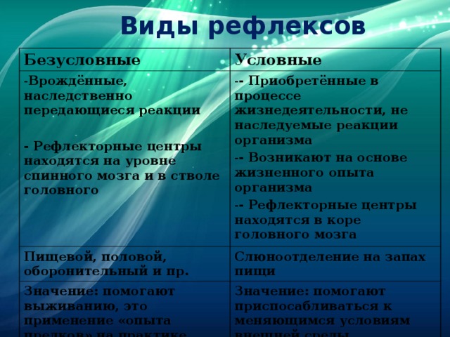 Виды условных рефлексов. Виды рефлексов. Рефлекторный центр. Центры безусловных рефлексов. Центр безусловных рефлексов находится.