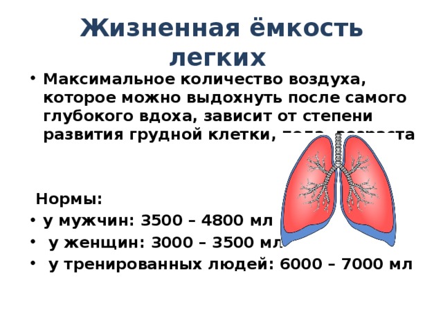 Жизненная ёмкость легких Максимальное количество воздуха, которое можно выдохнуть после самого глубокого вдоха, зависит от степени развития грудной клетки, пола, возраста    Нормы: у мужчин: 3500 – 4800 мл  у женщин: 3000 – 3500 мл  у тренированных людей: 6000 – 7000 мл 