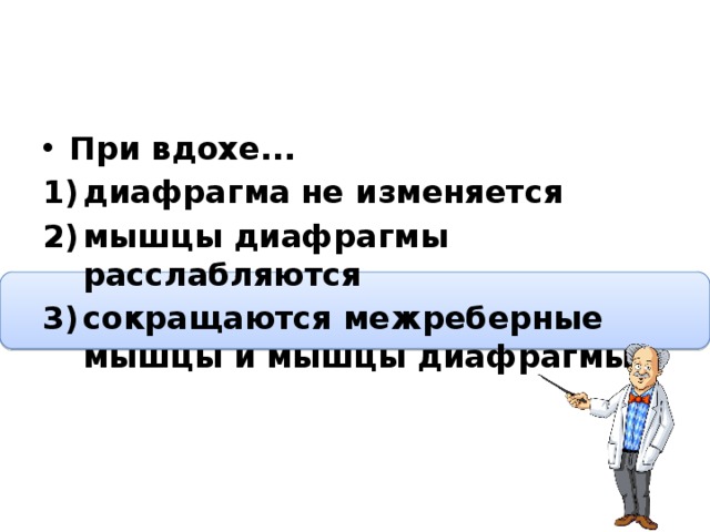 При вдохе... диафрагма не изменяется мышцы диафрагмы расслабляются сокращаются межреберные мышцы и мышцы диафрагмы  