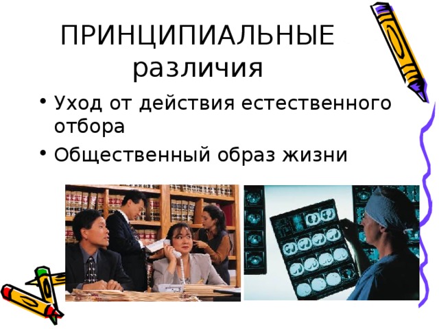 ПРИНЦИПИАЛЬНЫЕ различия Уход от действия естественного отбора Общественный образ жизни  