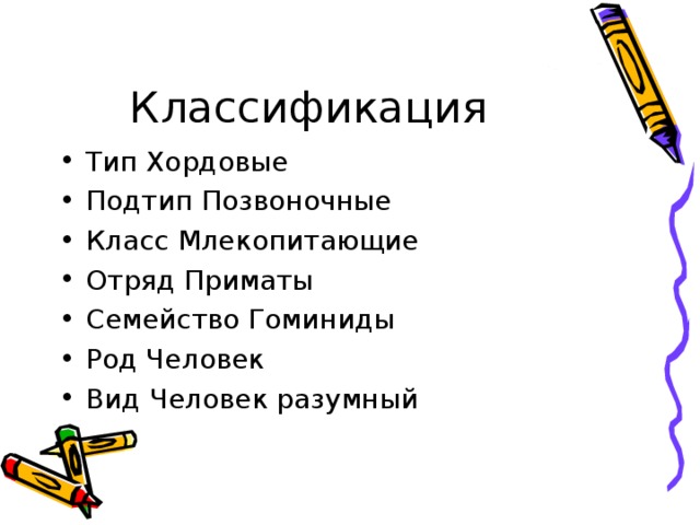 Классификация Тип Хордовые Подтип Позвоночные Класс Млекопитающие Отряд Приматы Семейство Гоминиды Род Человек Вид Человек разумный 