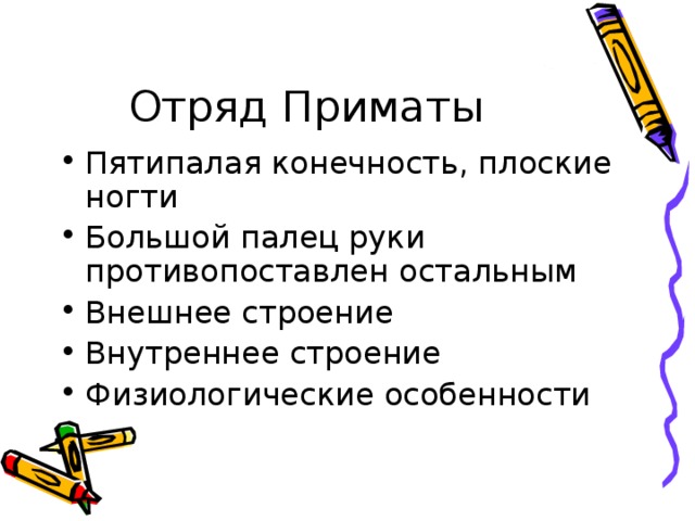 Отряд Приматы Пятипалая конечность, плоские ногти Большой палец руки противопоставлен остальным Внешнее строение Внутреннее строение Физиологические особенности  