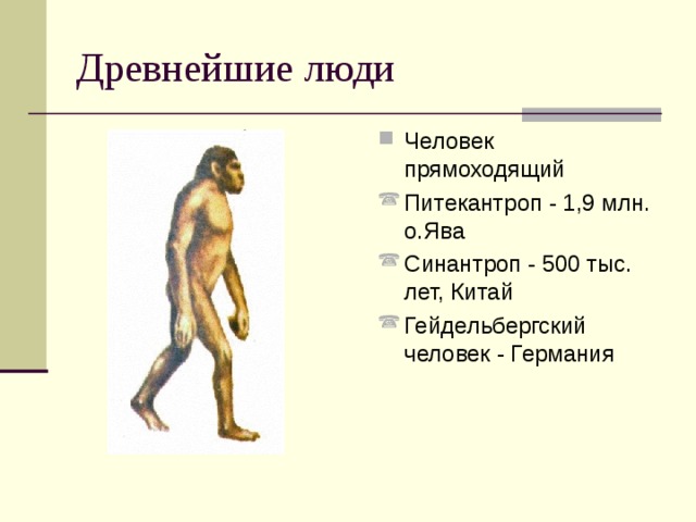 Человек прямоходящий презентация 11 класс