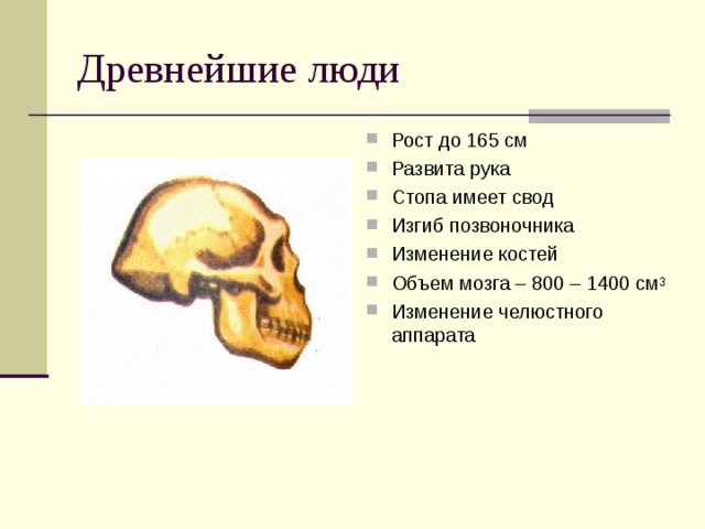 Объем мозга. Объем мозга 1000 см3 у кого.