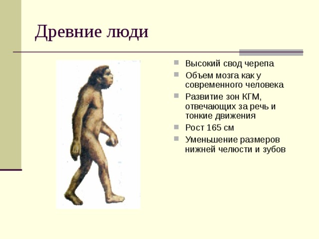 Укажите современных людей. Объем мозга современного человека. Мозг древнего человека и современного. Древнейшие люди объем мозга. Объем мозга древних людей и древнейших.