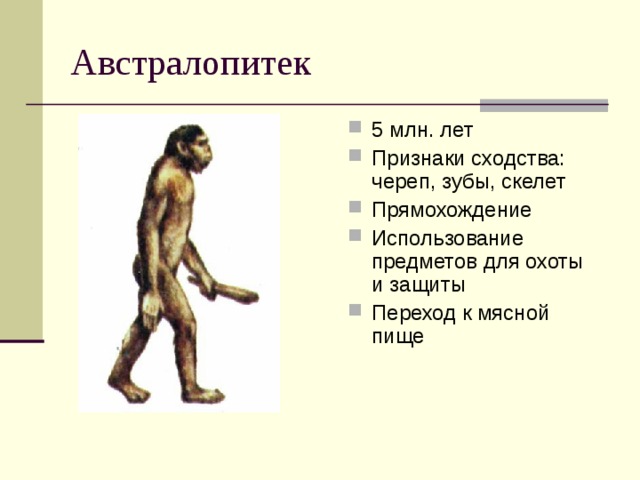 Что в переводе с латинского означает австралопитек. Австралопитек прямохождение. Эволюция человека австралопитек. Астралопитек этапы развития. Признаки прямохождения.