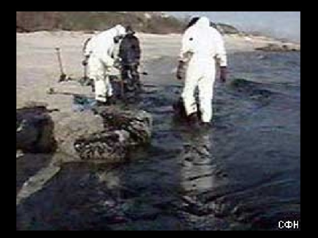 Водоёмы, покрытые нефтью - последствия аварий на нефтепроводе.  
