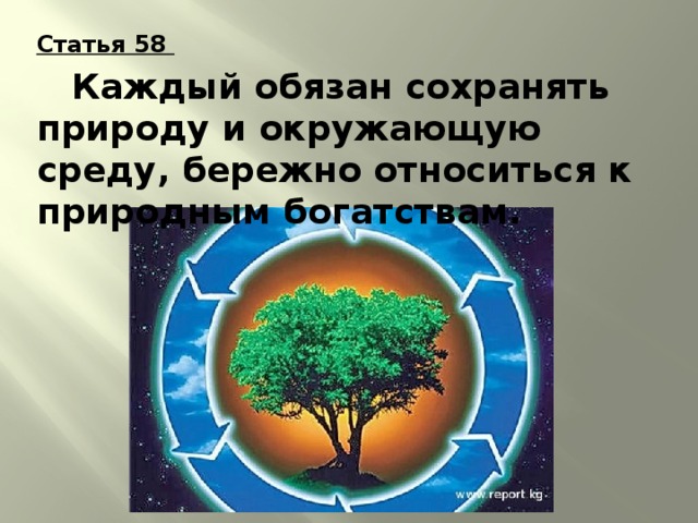 Каждый обязан сохранять природу и окружающую среду бережно относиться к природным богатствам рисунок