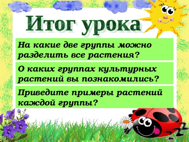 На какие две группы можно разделить все растения? О каких группах культурных растений вы познакомились? Приведите примеры растений каждой группы? 