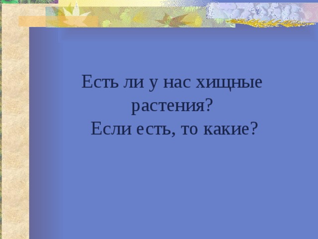 Есть ли у нас хищные растения?  Если есть, то какие? 