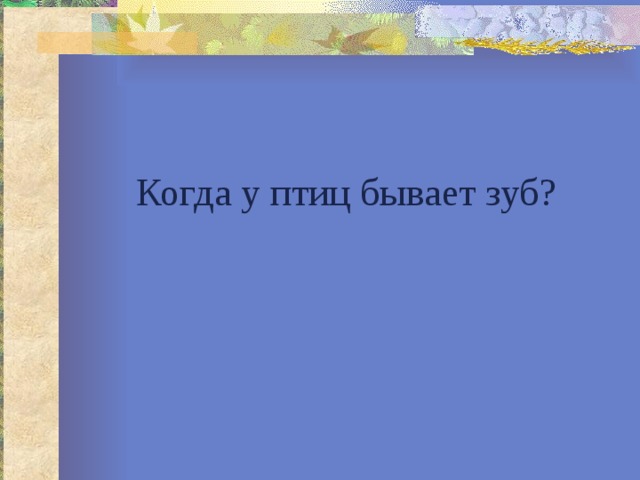 Когда у птиц бывает зуб? 