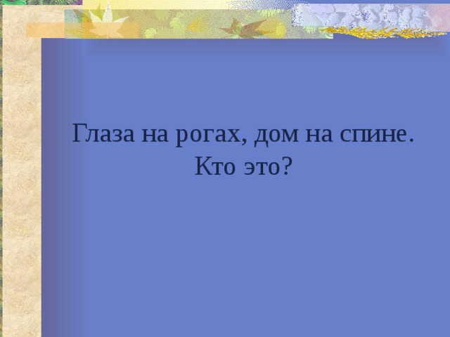Глаза на рогах, дом на спине. Кто это? 