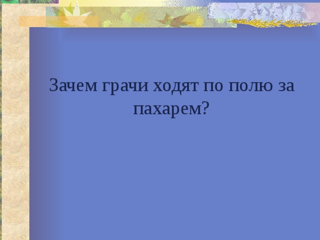 Зачем грачи ходят по полю за пахарем? 