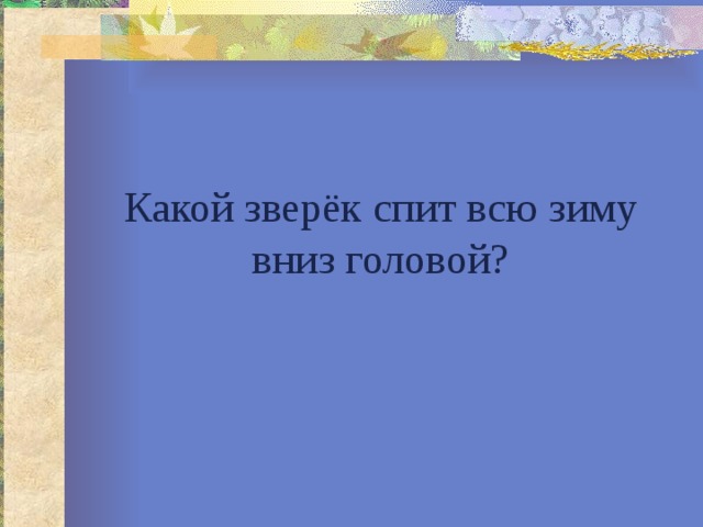 Какой зверёк спит всю зиму вниз головой? 