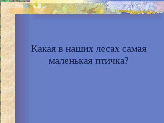 Какая в наших лесах самая маленькая птичка? 