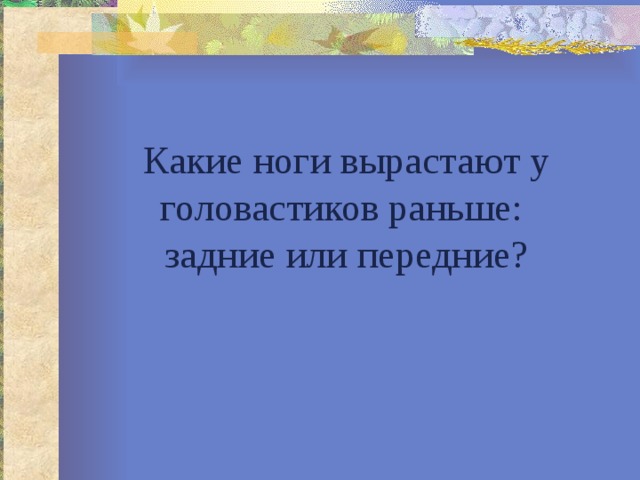 Какие ноги вырастают у головастиков раньше:  задние или передние? 
