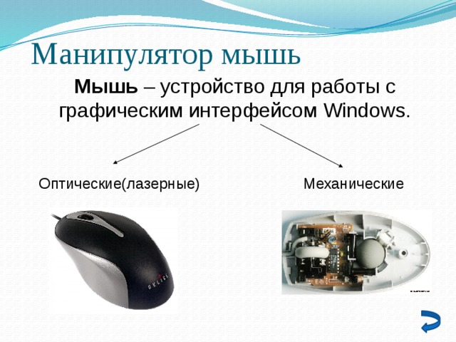 Манипулятор мышь Мышь – устройство для работы с графическим интерфейсом Windows. Оптические(лазерные) Механические 