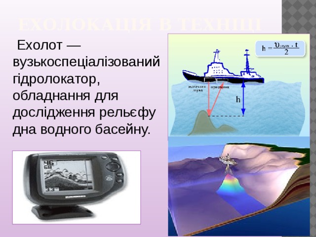 Ехолокація в техніці    Ехолот — вузькоспеціалізований гідролокатор, обладнання для дослідження рельєфу дна водного басейну.  