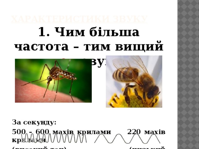 Характеристики звуку   1. Чим більша частота – тим вищий тон звуку.    За секунду: 500 – 600 махів крилами 220 махів крилами (високий тон) (низький тон) 