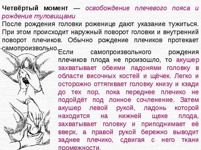 Четвёртый момент — освобождение плечевого пояса и рождение туловищами  После рождения головки роженице дают указание тужиться. При  этом происходит наружный поворот головки и внутренний поворот плечиков. Обычно рождение плечиков протекает самопроизвольно. Если самопроизвольного рождения плечиков плода не произошло, то акушер захватывает обеими ладонями головку в области височных костей и щёчек. Легко и осторожно оттягивает головку книзу и кзади до тех пор, пока переднее плечико не подойдёт под лонное сочленение. Затем акушер левой рукой, ладонь которой находится на нижней щеке плода, захватывает головку и приподнимает её вверх, а правой рукой бережно выводит заднее плечико, сдвигая с него ткани промежности.  