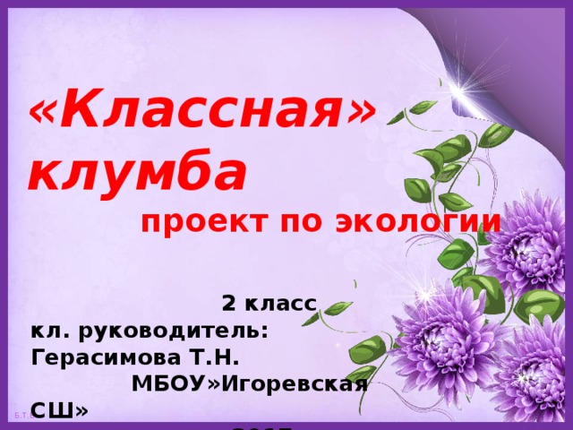  «Классная» клумба   проект по экологии    2 класс  кл. руководитель: Герасимова Т.Н.  МБОУ»Игоревская СШ»  2017 