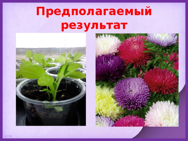 Предполагаемый результат 