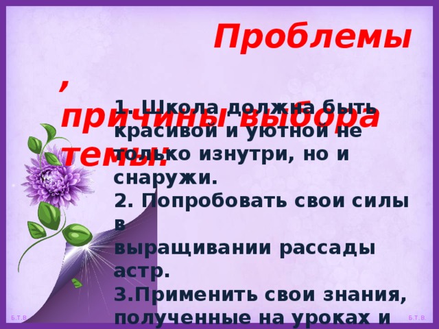  Проблемы , причины выбора темы: 1. Школа должна быть красивой и уютной не только изнутри, но и снаружи. 2. Попробовать свои силы в выращивании рассады астр. 3.Применить свои знания, полученные на уроках и из книг,  на практике. 