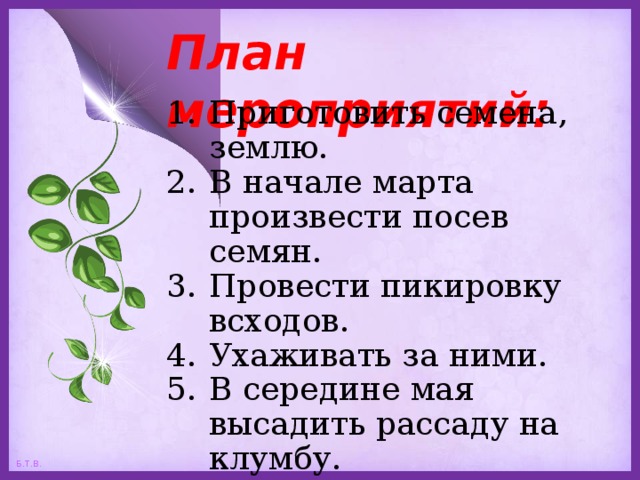 План мероприятий: Приготовить семена, землю. В начале марта произвести посев семян. Провести пикировку всходов. Ухаживать за ними. В середине мая высадить рассаду на клумбу. 