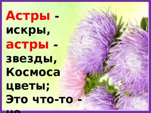 Астры - искры, астры - звезды,  Космоса цветы;  Это что-то - не из прозы,  Это - из мечты! 