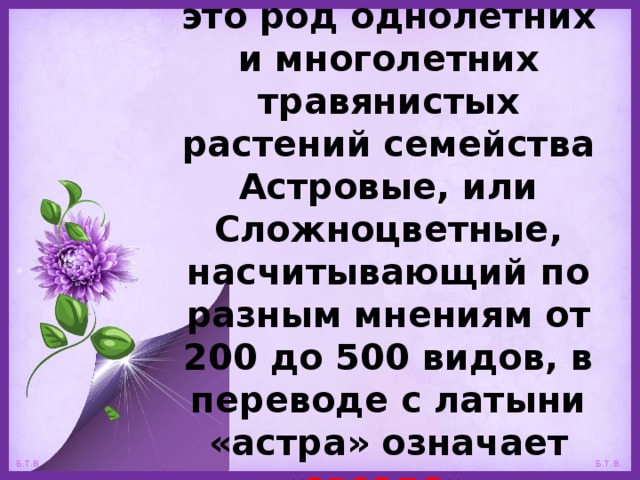 Астра (лат. Aster) – это род однолетних и многолетних травянистых растений семейства Астровые, или Сложноцветные, насчитывающий по разным мнениям от 200 до 500 видов, в переводе с латыни «астра» означает « звезда ».  