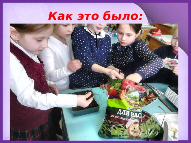 Как это было: 