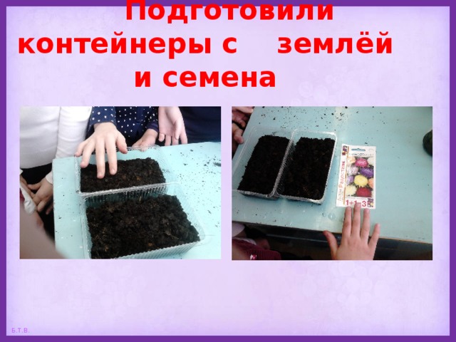  Подготовили контейнеры с землёй и семена 