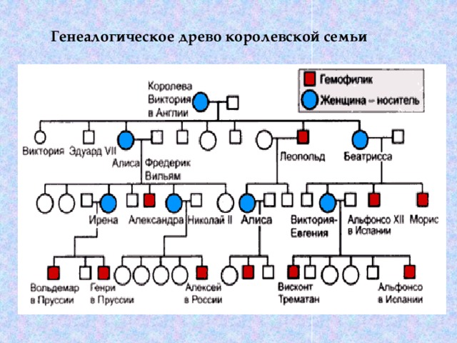 Генеалогическое древо по генетике образец