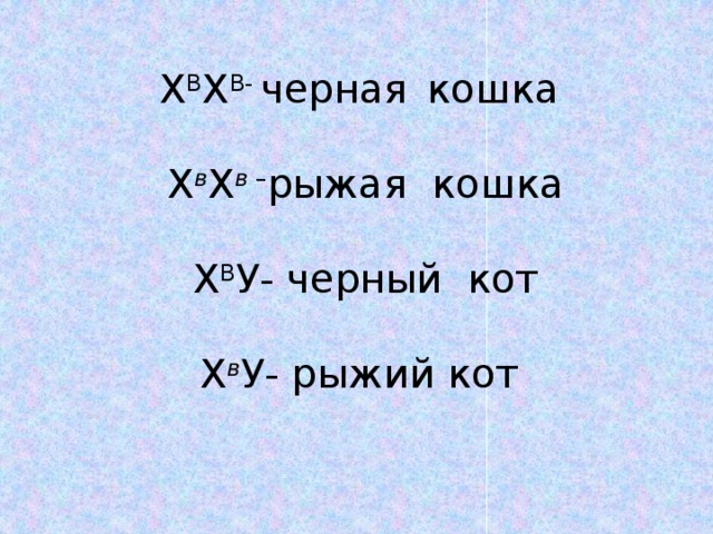 Х В Х В- черная  кошка Х в Х в – рыжая кошка Х В У- черный кот Х в У- рыжий кот 