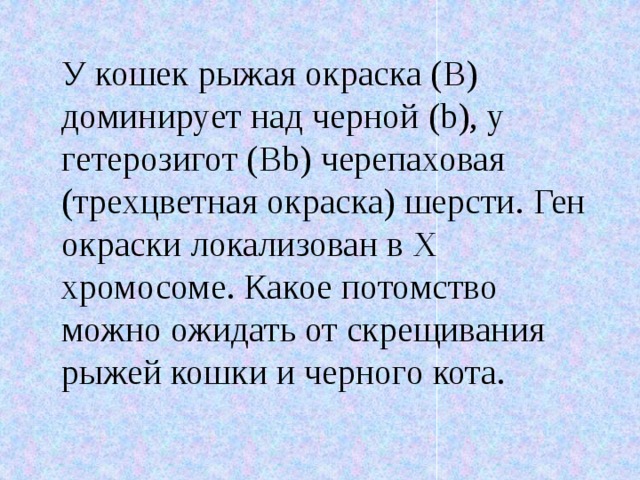 У кошек рыжая окраска (В) доминирует над черной (b), у гетерозигот (Вb) черепаховая (трехцветная окраска) шерсти. Ген окраски локализован в Х хромосоме. Какое потомство можно ожидать от скрещивания рыжей кошки и черного кота. 