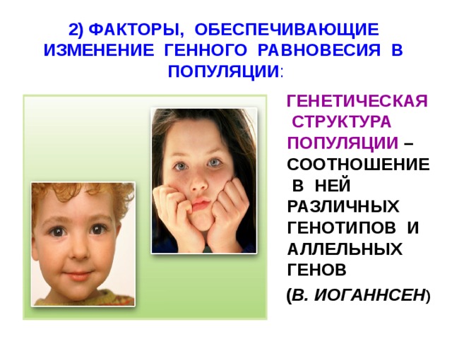 2) ФАКТОРЫ, ОБЕСПЕЧИВАЮЩИЕ ИЗМЕНЕНИЕ ГЕННОГО РАВНОВЕСИЯ В ПОПУЛЯЦИИ :    ГЕНЕТИЧЕСКАЯ СТРУКТУРА ПОПУЛЯЦИИ – СООТНОШЕНИЕ В НЕЙ РАЗЛИЧНЫХ ГЕНОТИПОВ И АЛЛЕЛЬНЫХ ГЕНОВ  ( В. ИОГАННСЕН ) 