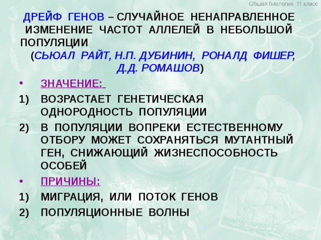 ДРЕЙФ ГЕНОВ – СЛУЧАЙНОЕ НЕНАПРАВЛЕННОЕ ИЗМЕНЕНИЕ ЧАСТОТ АЛЛЕЛЕЙ В НЕБОЛЬШОЙ  ПОПУЛЯЦИИ ( СЬЮАЛ РАЙТ, Н.П. ДУБИНИН, РОНАЛД ФИШЕР, Д.Д. РОМАШОВ ) ЗНАЧЕНИЕ:  ВОЗРАСТАЕТ ГЕНЕТИЧЕСКАЯ ОДНОРОДНОСТЬ ПОПУЛЯЦИИ В ПОПУЛЯЦИИ ВОПРЕКИ ЕСТЕСТВЕННОМУ ОТБОРУ МОЖЕТ СОХРАНЯТЬСЯ МУТАНТНЫЙ ГЕН, СНИЖАЮЩИЙ ЖИЗНЕСПОСОБНОСТЬ ОСОБЕЙ ПРИЧИНЫ:  МИГРАЦИЯ, ИЛИ ПОТОК ГЕНОВ ПОПУЛЯЦИОННЫЕ ВОЛНЫ 