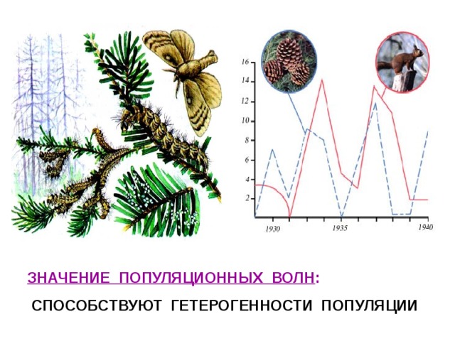 ЗНАЧЕНИЕ ПОПУЛЯЦИОННЫХ ВОЛН :   СПОСОБСТВУЮТ ГЕТЕРОГЕННОСТИ ПОПУЛЯЦИИ 