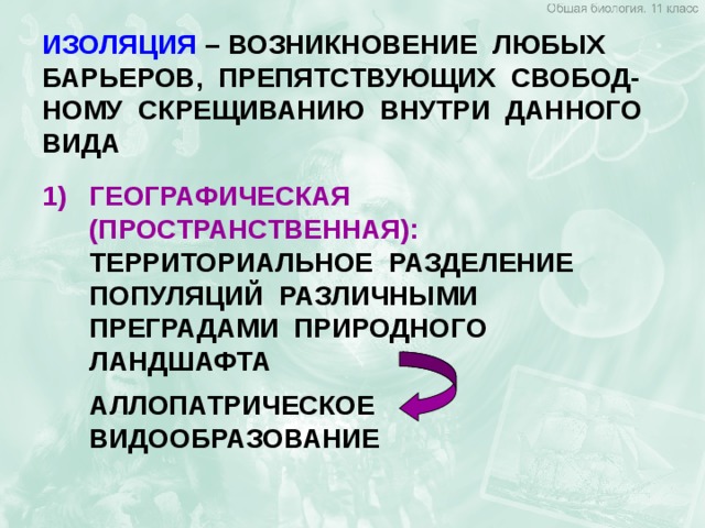 ИЗОЛЯЦИЯ – ВОЗНИКНОВЕНИЕ ЛЮБЫХ БАРЬЕРОВ, ПРЕПЯТСТВУЮЩИХ СВОБОД-НОМУ СКРЕЩИВАНИЮ ВНУТРИ ДАННОГО ВИДА ГЕОГРАФИЧЕСКАЯ  (ПРОСТРАНСТВЕННАЯ): ТЕРРИТОРИАЛЬНОЕ РАЗДЕЛЕНИЕ ПОПУЛЯЦИЙ РАЗЛИЧНЫМИ ПРЕГРАДАМИ ПРИРОДНОГО ЛАНДШАФТА  АЛЛОПАТРИЧЕСКОЕ ВИДООБРАЗОВАНИЕ 