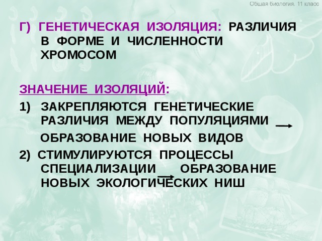 Г)  ГЕНЕТИЧЕСКАЯ ИЗОЛЯЦИЯ: РАЗЛИЧИЯ В ФОРМЕ И ЧИСЛЕННОСТИ ХРОМОСОМ  ЗНАЧЕНИЕ ИЗОЛЯЦИЙ :  ЗАКРЕПЛЯЮТСЯ ГЕНЕТИЧЕСКИЕ РАЗЛИЧИЯ МЕЖДУ ПОПУЛЯЦИЯМИ  ОБРАЗОВАНИЕ НОВЫХ ВИДОВ 2) СТИМУЛИРУЮТСЯ ПРОЦЕССЫ СПЕЦИАЛИЗАЦИИ ОБРАЗОВАНИЕ НОВЫХ ЭКОЛОГИЧЕСКИХ НИШ 