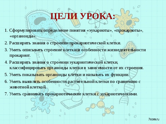 Цели урока: 1. Сформулировать определение понятия «эукариоты», «прокариоты», «органоиды». 2. Расширить знания о строении прокариотической клетки. 3. Уметь описывать строение клетки и особенности жизнедеятельности прокариот. 4. Расширить знания о строении эукариотической клетки, классифицировать органоиды клетки в зависимости от их строения. 5. Уметь показывать органоиды клетки и называть их функции. 6. Уметь выявлять особенности растительной клетки по сравнению с животной клеткой. 7. Уметь сравнивать прокариотические клетки с эукариотическими. 