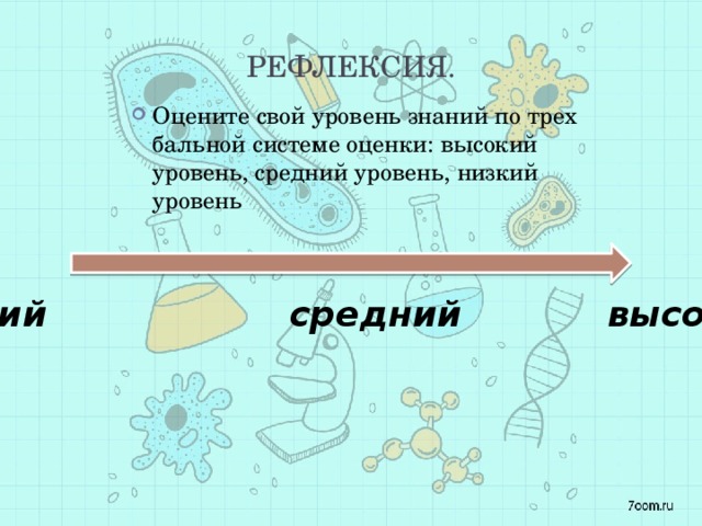 Рефлексия. Оцените свой уровень знаний по трех бальной системе оценки: высокий уровень, средний уровень, низкий уровень низкий средний высокий 